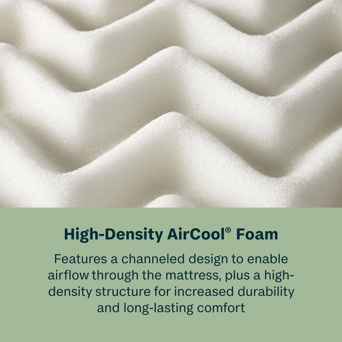 BeautySleep Slumber Time Medium Firm 10" Hybrid Mattress in a Box