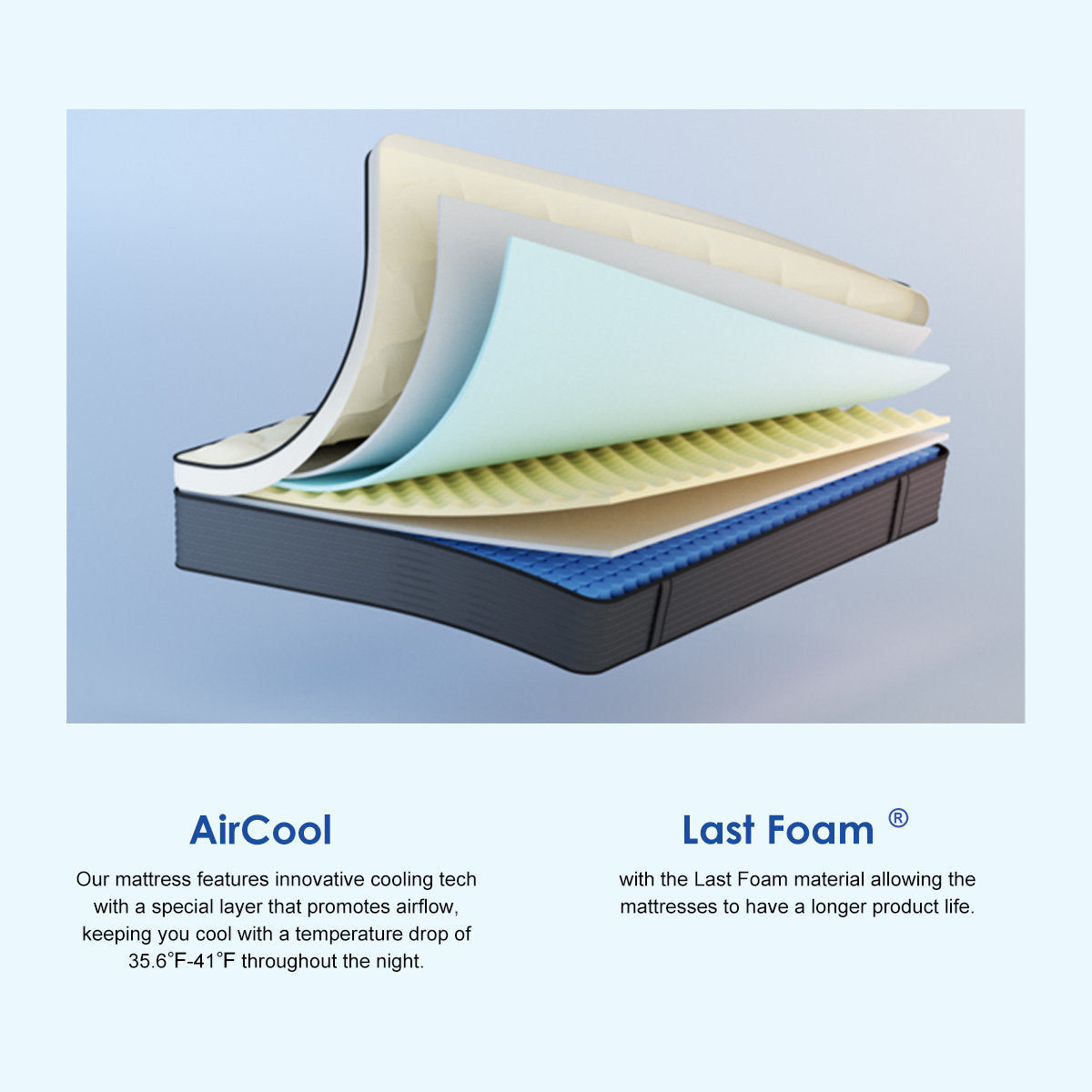 Gwendolyn 12''/14''/10'' Cool Frim Memory Foam Hybrid Mattress in a Box, OEKO-TEX® Certified