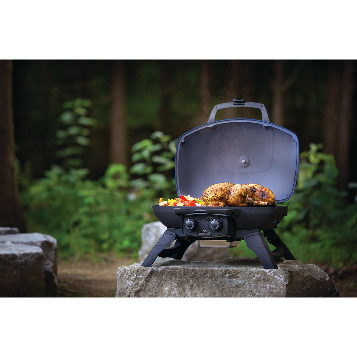 Napoleon TravelQ? Gas Grill