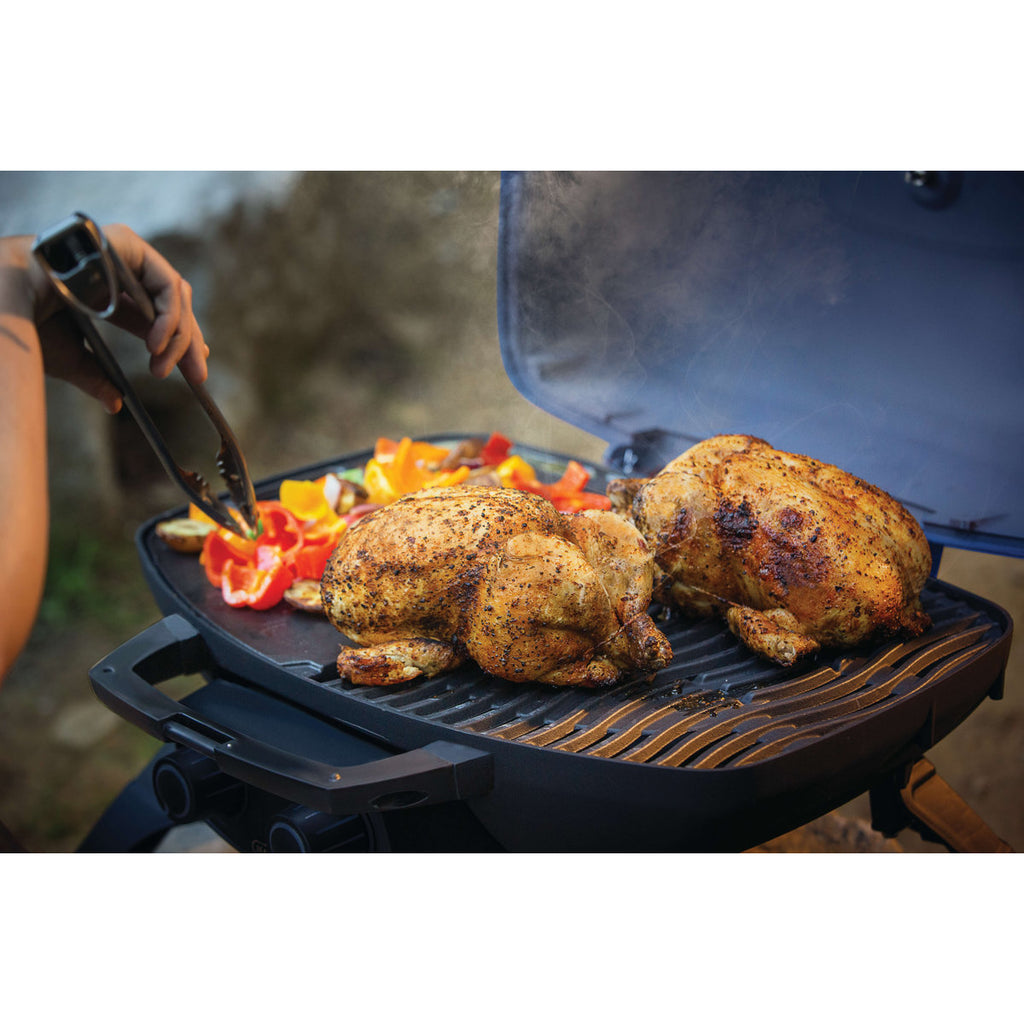 Napoleon TravelQ? Gas Grill