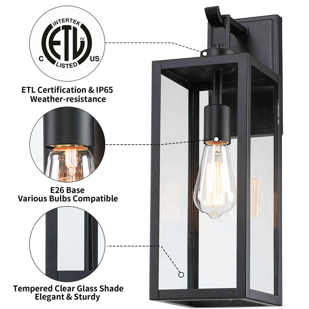 Schlesinger Black Steel Wall Light with High-transparency Glass