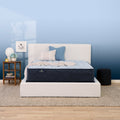 Serta Perfect Sleeper Nurture Night 13.5" Medium Mattress
